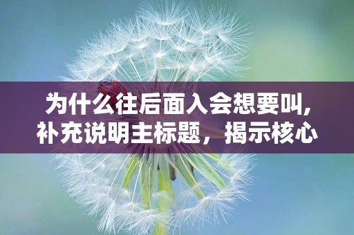 为什么往后面入会想要叫,补充说明主标题，揭示核心内容，辅助读者理解论文重点。