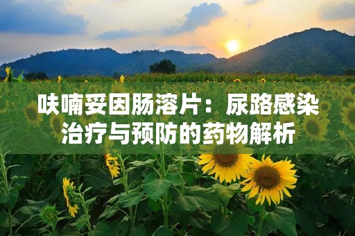 呋喃妥因肠溶片：尿路感染治疗与预防的药物解析