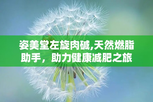 姿美堂左旋肉碱,天然燃脂助手，助力健康减肥之旅