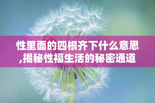 性里面的四根齐下什么意思,揭秘性福生活的秘密通道