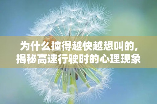 为什么撞得越快越想叫的,揭秘高速行驶时的心理现象