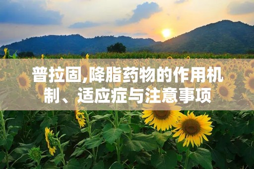 普拉固,降脂药物的作用机制、适应症与注意事项