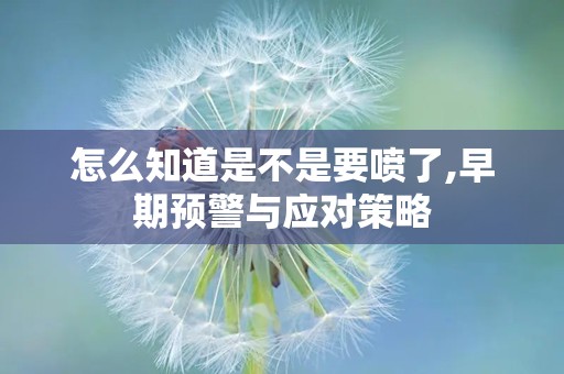 怎么知道是不是要喷了,早期预警与应对策略