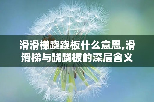 滑滑梯跷跷板什么意思,滑滑梯与跷跷板的深层含义