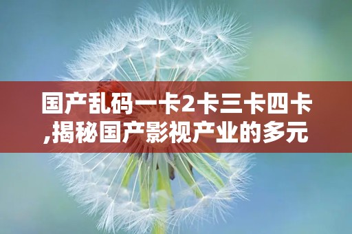 国产乱码一卡2卡三卡四卡,揭秘国产影视产业的多元化发展