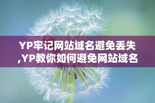 YP牢记网站域名避免丢失,YP教你如何避免网站域名丢失