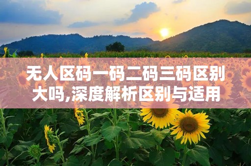 无人区码一码二码三码区别大吗,深度解析区别与适用性