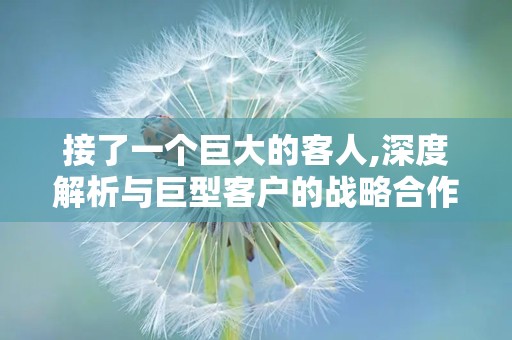 接了一个巨大的客人,深度解析与巨型客户的战略合作之路