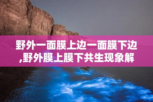 野外一面膜上边一面膜下边,野外膜上膜下共生现象解析