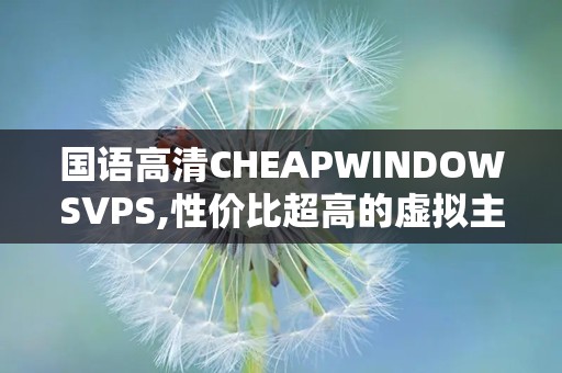 国语高清CHEAPWINDOWSVPS,性价比超高的虚拟主机服务解析