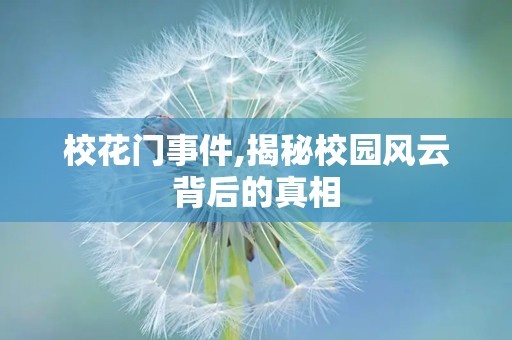 校花门事件,揭秘校园风云背后的真相