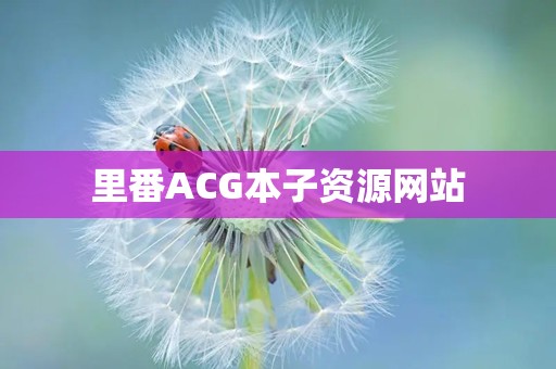 里番ACG本子资源网站