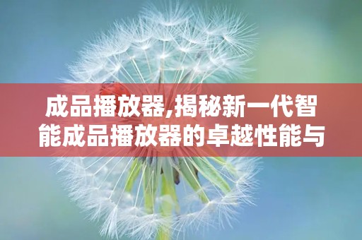 成品播放器,揭秘新一代智能成品播放器的卓越性能与未来趋势