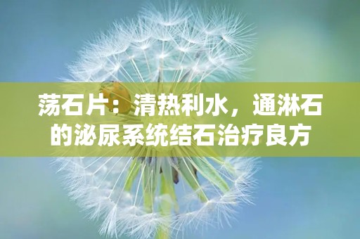 荡石片：清热利水，通淋石的泌尿系统结石治疗良方