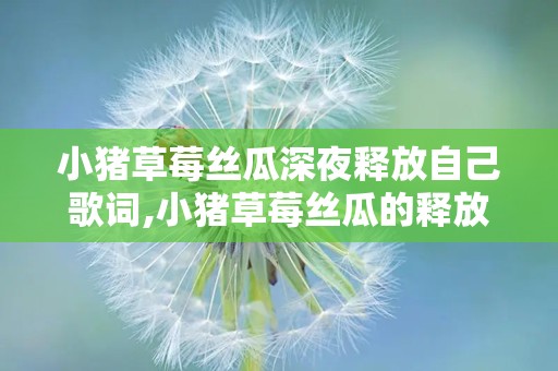 小猪草莓丝瓜深夜释放自己歌词,小猪草莓丝瓜的释放之旅