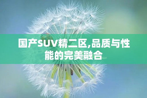 国产SUV精二区,品质与性能的完美融合