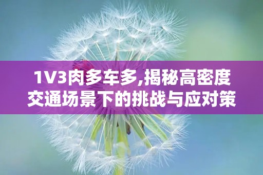 1V3肉多车多,揭秘高密度交通场景下的挑战与应对策略