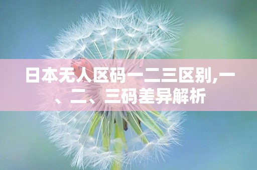 日本无人区码一二三区别,一、二、三码差异解析