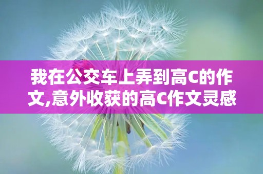 我在公交车上弄到高C的作文,意外收获的高C作文灵感