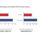 揭秘长寿密码！“不老神药”端粒酶，让你轻松跨过生命衰老的陷阱！